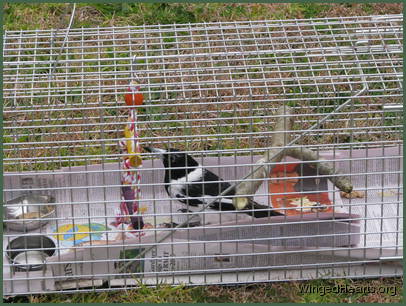 Butchie liked showing off her bug meals to her family so they knew she was getting a treat Butchie liked showing off her bug meals to her family so they knew she was getting a treat