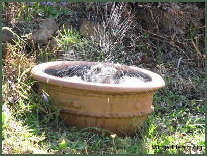 Creating such a commotion Creating such a commotion