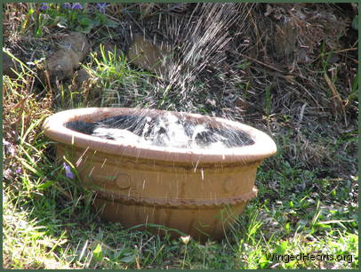 ...again.. ...again..