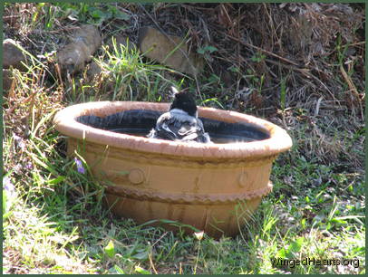 or is it Kerry? or is it Kerry?