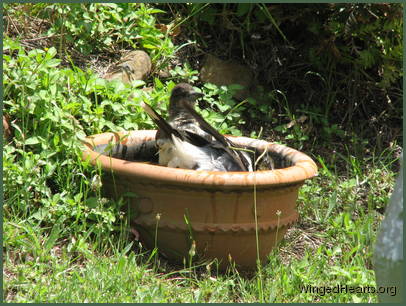 we should do this more often