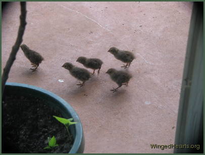 as they continue their exploration