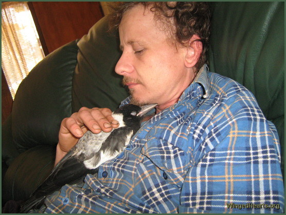 Gyspy Magpie with Damon